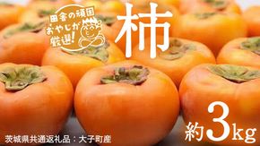 【2026年10月より発送開始】柿 品種おまかせ 約3kg（茨城県共通返礼品 [柿]：大子町産）柿 かき カキ 果物 フルーツ 茨城県産 [BI428-NT]
