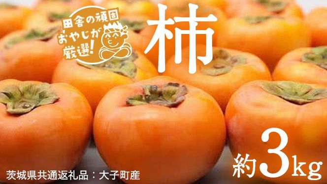 【2026年10月より発送開始】柿 品種おまかせ 約3kg（茨城県共通返礼品 [柿]：大子町産）柿 かき カキ 果物 フルーツ 茨城県産 [BI428-NT]