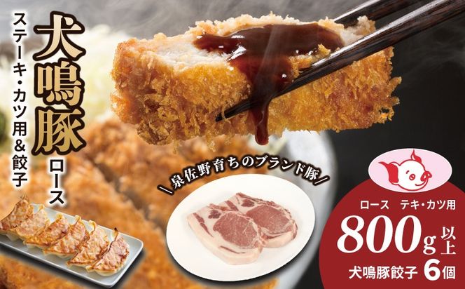 G5370 犬鳴豚 ロースステーキ  カツ用 800g以上 犬鳴豚餃子6個 セット【国産 豚肉 泉佐野ブランド豚 犬鳴ポーク 普段使い】