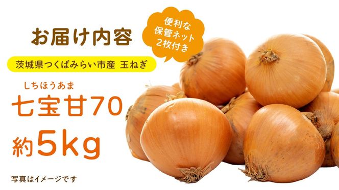 【先行予約】つくばみらい市産たまねぎ 5kg （七宝甘70）保管に便利な 貯蔵 ネット付【2026年5月より発送開始】 タマネギ 国産 茨城県産 甘い 辛くない 旨味 栽培期間中農薬不使用大玉 サラダ スープ 箱売り キロ販売 業務用 大容量 [FH01-NT]