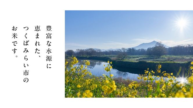＼ 選べる内容量 ／【 無洗米 】令和7年産 新米 コシヒカリ 5kg/10kg 茨城県つくばみらい市産 時短 手軽 粘り 甘み 茨城 こしひかり 令和7年
