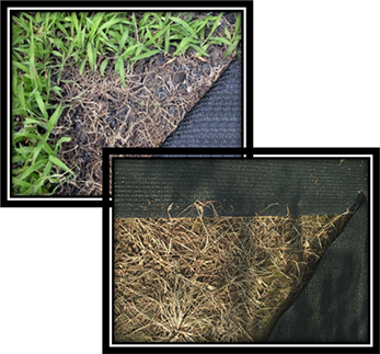 【防草シート】クサトラーズ（１ｍ×１０ｍ）ブラック