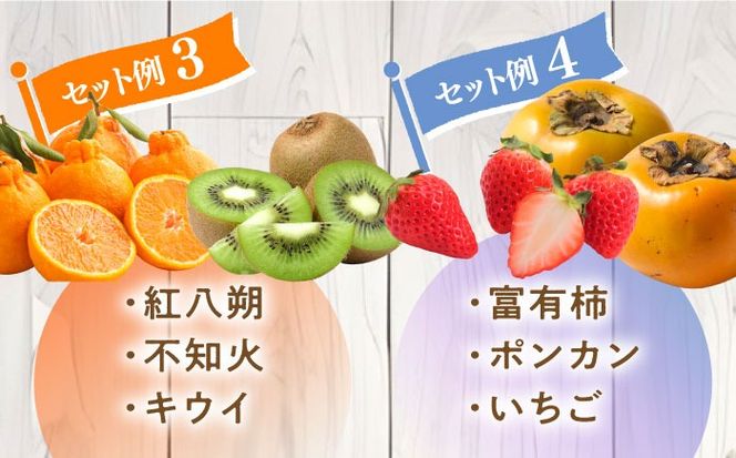 【春夏秋冬】 旬の フルーツ セット 定期便 4回コース / 果物の 食べ比べ セット 2〜3品目おまかせ / 南島原市 / 吉岡青果 [SCZ020]