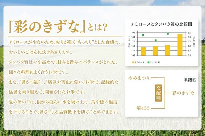 BN046　スマート農業技術を活用した　令和７年産　彩のきずな白米　５キロ
