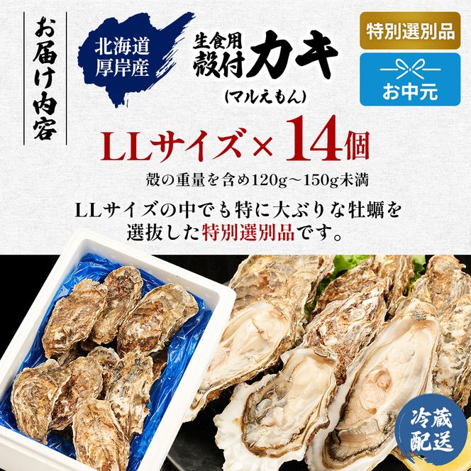 【お中元】北海道 厚岸産 ブランド牡蠣 マルえもん 殻付き 牡蠣 LLサイズ 14個 【光輝】 [ 魚貝類 生牡蠣 海鮮 海の幸 生食用牡蠣 生食用 生食用殻付き牡蠣 濃厚 甘み  オイスター ]  