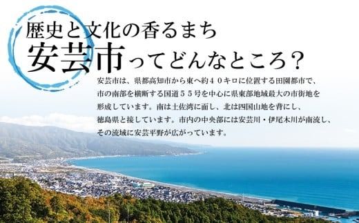 【訳あり】 藁焼き かつおタタキ 1.5kg 高知 本場 不揃い カツオ人気 かつおのタタキ 冷凍 カツオのタタキ 鰹 かつおのたたき かつおたたき かつお 父の日 冷凍 魚貝 魚介 海鮮 お試し 不揃い 規格外 贈答 個包装 小分け プレゼント ギフト 安芸市 高知県