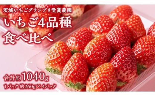 【 茨城いちごグランプリ 受賞 農園 】 完熟 いちご 4品種 食べ比べ セット イチゴ 苺 フルーツ 果物 果実 いばらキッス ひたち姫 とちおとめ やよいひめ よつぼし すず はるひ かおり野 ほしうらら [DY001ci]