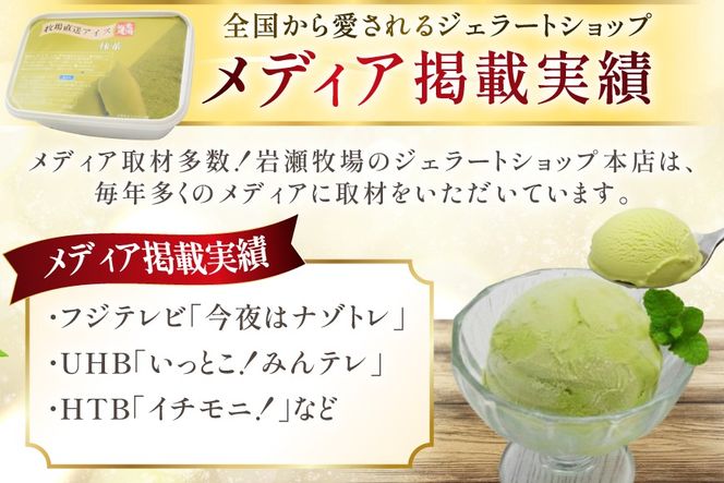 テレビで紹介！ アイス ジェラート 抹茶 1L ファミリーサイズ ジャンボサイズ [岩瀬牧場 北海道 砂川市 12260965] 冷凍 アイスクリーム 詰め合わせ スイーツ