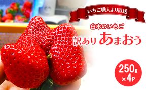 訳あり いちご いちご職人 白木のいちご あまおう ふぞろいな「いちご」たち 250g×4P 訳アリ イチゴ 苺 果物 デザート ※配送不可：沖縄・離島