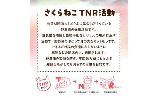 メール便発送【訳あり】野良猫保護支援 さくらねこ ブレンドコーヒー 富士山の湧き水で磨いた スペシャルティコーヒー 【 豆 320g / 粉 320g / ドリップ 12g×16袋 】 コーヒー 珈琲 ブレンド スペシャルティコーヒー 挽き立て ドリップコーヒー 山梨 富士吉田
