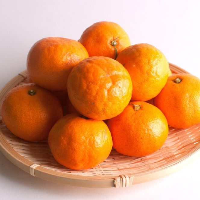 ［先行予約］プレミアム 有田みかん（完熟）10kg+250g（傷み補償分）CZ158