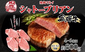 飛騨牛 シャトーブリアン ステーキ 約800g 4～6枚切り 肉 牛肉 和牛 ブランド牛 お肉 ビーフ ヒレ 希少部位 赤身 贅沢 国産 お取り寄せ ご褒美 豪華 グルメ 焼肉 BBQ パーティー ギフト 贈り物 自家用 贈答用 送料無料 焼肉マルイ 岐阜県 【 安八町 】