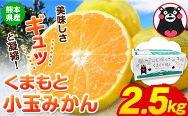 訳あり みかん 小玉みかん くまもと小玉みかん 2.5kg (2.5kg×1箱) 秋 旬 不揃い 傷 ご家庭用 SDGs 小玉 たっぷり 熊本県 産 S-3Sサイズ フルーツ 旬 柑橘 長洲町 温州みかん《10月下旬-11月中旬頃出荷》---fn_nkomikan_h10_24_4500_2500g---