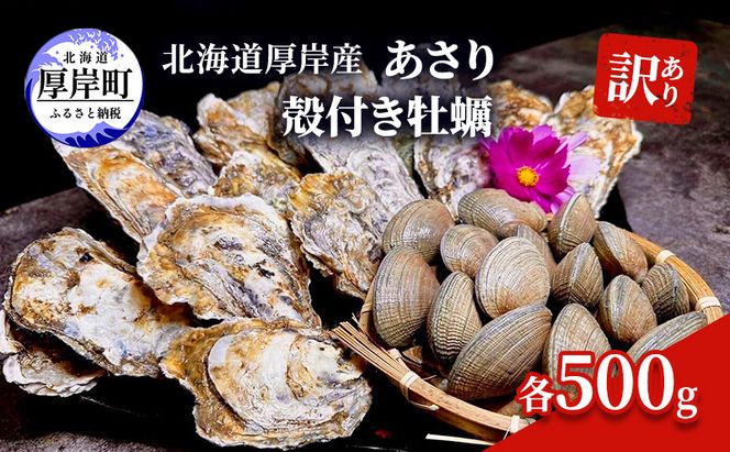 訳あり 北海道 厚岸産 あさり 殻付き牡蠣 各500g 魚貝類 海の幸 グルメ 大粒 肉厚 海鮮 オイスター 濃厚な甘み 