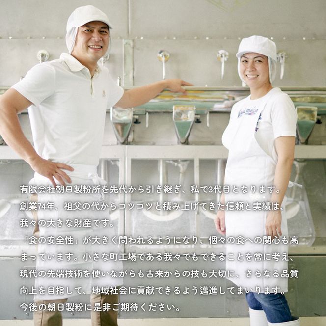 米粉うどん 10食セット　うどん 小麦粉不使用 グルテンフリー 冷凍 保存食 個包装 麺 京都府 南丹市