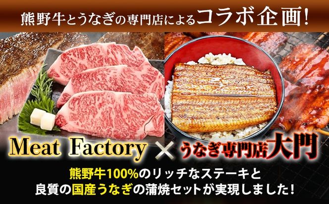 ステーキ 鰻 熊野牛 国産うなぎ 熊野牛ステーキと国産炭火焼鰻の贅沢うな牛セットＢ 計6食 株式会社Meat Factory《30日以内に出荷予定(土日祝除く)》和歌山県 日高川町 ロースステーキ 牛肉 肉 国産 うなぎ 送料無料---wshg_fmfy32_30d_24_65000_3p---