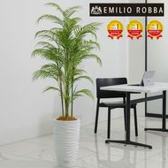 アートフラワー エミリオ・ロバ パーム4L TUTTA14850