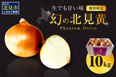 【予約：2024年9月下旬から順次発送】幻の北見黄 北海道北見産 10kg ( 野菜 たまねぎ 玉ねぎ タマネギ Lサイズ 10キロ 詰合せ )【002-0004-2024】