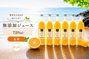 はっさく 100% ジュース / 八朔 ストレート 果汁 無添加 柑橘 和歌山 20000円 720ml ※北海道・沖縄・離島への配送不可 //drink 【ikd100-has720-6】