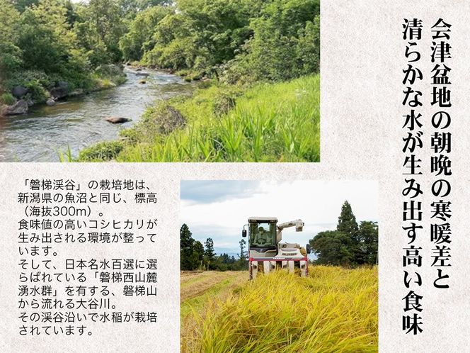 【令和7年産・新米】Aランク会津コシヒカリ特別栽培米「磐梯渓谷」 （減農薬栽培）（白米5kg）