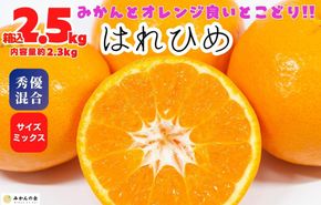 はれひめ みかん 箱込 2.5kg（内容量約 2.3kg） 秀品 優品 混合 サイズミックス 和歌山県産 産地直送【みかんの会】 AX387