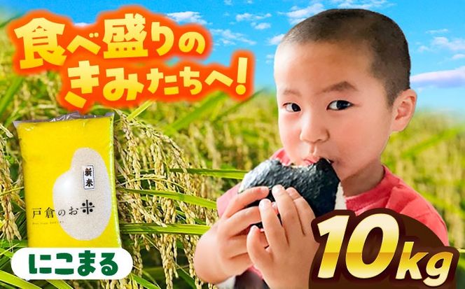 ymszys\/10菇z yߘa7NxY V z ɂ܂  10kg    s / ˑqgN^[ yzBsFz [AECS056]