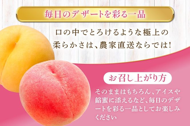 桃 冷凍 コンポート 2種 500g × 3パック [ノーザン・ベリーズ 北海道 砂川市 12261007] もも モモ フルーツ 果物 くだもの デザート トッピング