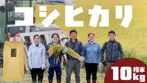 コシヒカリ 精米 10kg 令和7年産 米 お米 コメ 白米 こしひかり 茨城県 新生活 応援 [EX007ci]