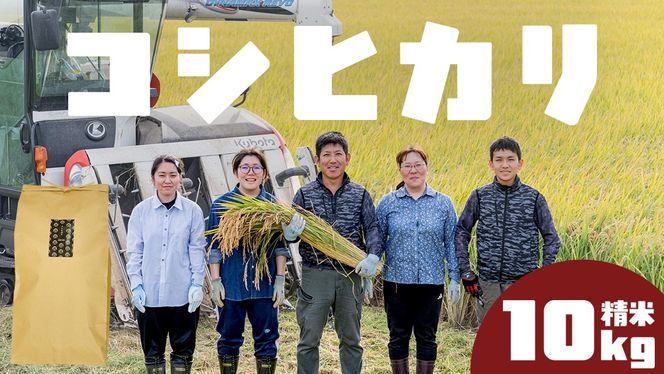 コシヒカリ 精米 10kg 令和7年産 米 お米 コメ 白米 こしひかり 茨城県 新生活 応援 [EX007ci]