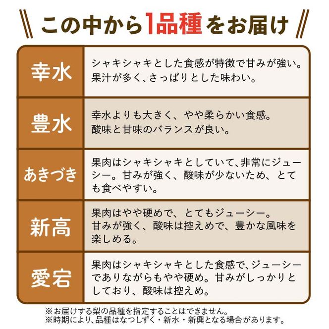2026年予約 訳あり梨 梨福袋  5kg