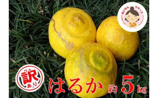 【訳あり】あいなんマザーズのはるか5kg