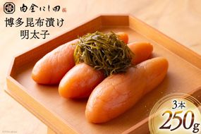 白金にし田特製 博多昆布漬け 明太子 3本 計250g [白金にし田 福岡県 筑紫野市 21760797] めんたいこ 冷凍