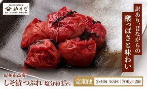 【定期便・2ヵ月毎 全5回】ご家庭用 紀州南高梅 しそ漬 つぶれ 700g×2 ［YM16］ 303446_DX90033