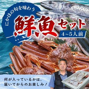 鮮魚 冷蔵 クール便「 開けたらすぐ食べられる下処理済み 海産物 4～5人前 セット 」さとう鮮魚店【 パック 詰め合わせ 海鮮セット 鮮魚ボックス 海鮮 海の幸 魚介 魚介類 刺身 切り身  秋田県 にかほ 】