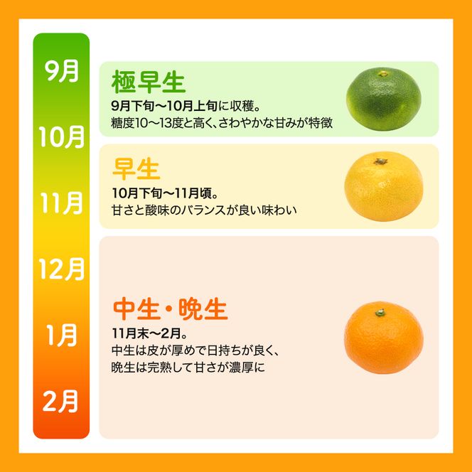  【和歌山県産】訳あり 温州みかん 1kg お試しに♪ (早生・中生・晩稲)【S～2Lサイズおまかせ】【2026年10月中旬～2027年2月下旬頃までに順次発送】＜味好農園＞/ 「おてんば娘」みかん 蜜柑 柑橘 温州みかん 訳あり 果物 フルーツ 甘い 果汁溢れる【agy004-c-1】