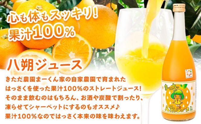 まーくん家のはっさくジュース（720ml×2本）と柿のドライフルーツ2袋 《90日以内に出荷予定(土日祝除く)》 和歌山県 紀の川市 柑橘 はっさく柿 たねなし柿 きただ農園まーくん家 化学肥料・除草剤不使用 八朔 カキ---wsk_ktdhsjkdf_90d_22_14000_720ml---