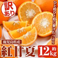 ＜先行予約受付中！2027年2月上旬以降順次発送予定＞訳あり 紅甘夏(約12kg) 国産 鹿児島県産 果物 フルーツ 柑橘 みかん 甘夏【松永青果】akn053-19