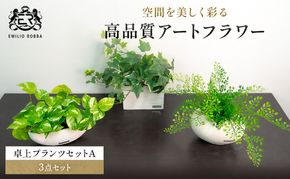 エミリオロバ　卓上プランツ3点セットA