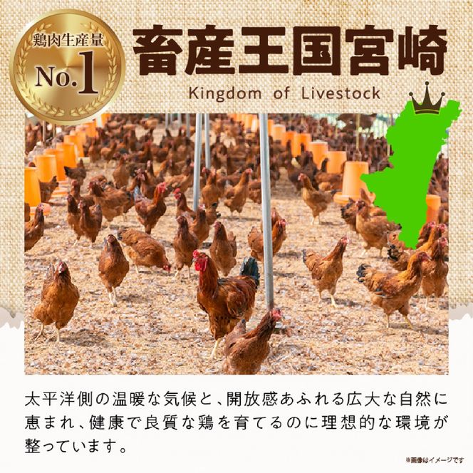 【テレビで紹介！元祖ざる焼き小林養鶏】やわらか炭火焼100g×10Pセット（国産 鶏 鶏肉 小分け 炭火焼 惣菜 調理済 冷凍 宮崎 小林市）