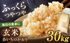 ＼大容量／ あいちのかおり 玄米 30kg お米 玄米 愛西市 / 日栄トラクター【配送不可地域：北海道・沖縄・離島】[AEDM001]