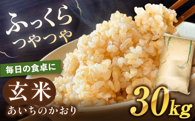 ＼大容量／ あいちのかおり 玄米 30kg お米 玄米 愛西市 / 日栄トラクター【配送不可地域：北海道・沖縄・離島】[AEDM001]