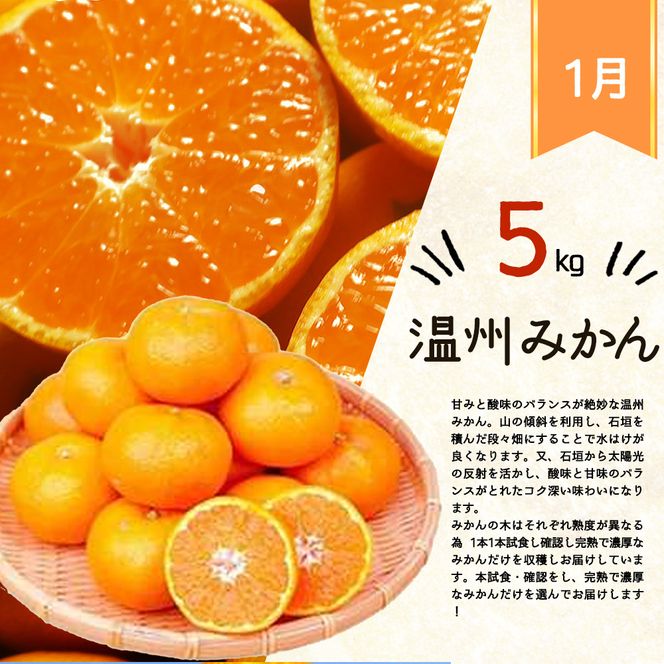 〈定期便〉【1・4・7・10月 全4回】魚鶴のフルーツ定期便（みかん・オレンジ・桃・柿）◆｜フルーツ ふるーつ 果物 くだもの 詰め合わせ 果物定期便 みかん オレンジ もも かき  国産 産地直送 美浜町