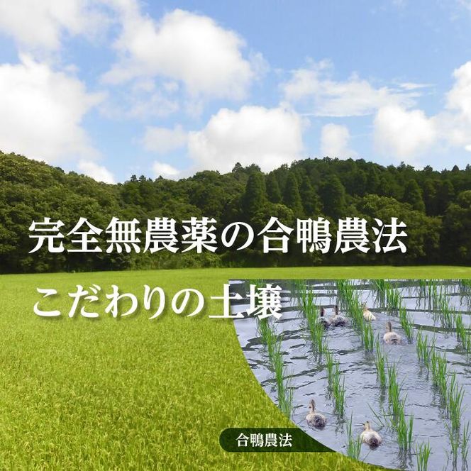 L-6 アイガモと一緒に育てたお米「愛鴨米・白米」3kg