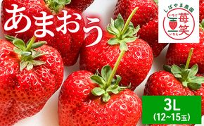 いちご 朝倉市産 あまおう 3L 12～15玉 イチゴ 苺 果物 デザート ※配送不可：離島