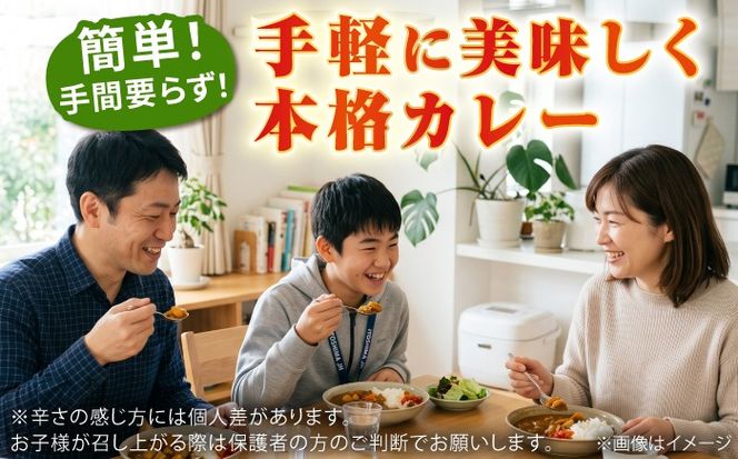 糸島どりもも肉カレー（24食入） トリゼンフーズ [ACD010] レトルトカレー 常温 ランキング 上位 人気 おすすめ カレー レトルト パウチ 24食 200g 人気 非常食 お手軽 チキンカレー