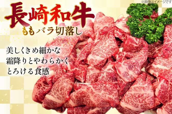 AJ579 【12回定期便】長崎和牛 切り落とし (もも・バラ) 約1kg (500g×2P) [ 肉 牛肉 和牛 高級 おいしい ステーキ肉 まるしん商会 黒牛 長崎県 島原市 ]