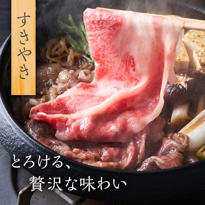 岐阜県海津市産 飛騨牛 モモ又は肩 すき焼き・しゃぶしゃぶ用500g お肉 牛肉 