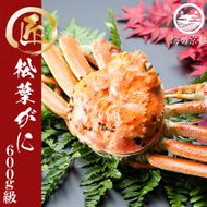 茹で松葉蟹 1杯（600g級） 蟹 カニ かに 松葉蟹 松葉ガニ ズワイガニ ボイル myz05 myz11 myz16