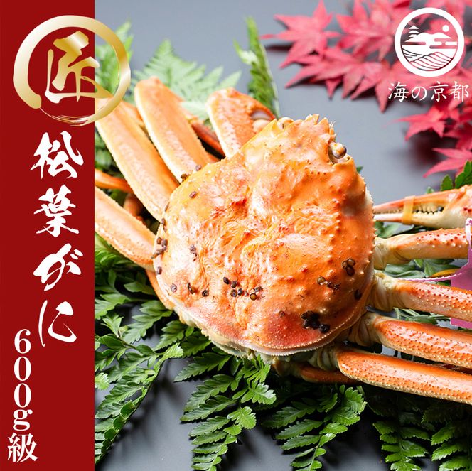 茹で松葉蟹 1杯（600g級） 蟹 カニ かに 松葉蟹 松葉ガニ ズワイガニ ボイル myz05 myz11 myz16