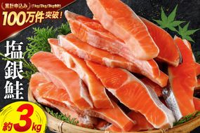 鮭 訳あり 銀鮭 切身 約3kg [宮城東洋 宮城県 気仙沼市 20564992] 鮭 魚介類 海鮮 訳アリ 規格外 不揃い さけ サケ 鮭切身 シャケ 切り身 冷凍 家庭用 おかず 弁当 支援 サーモン 銀鮭切り身 魚 わけあり CF01